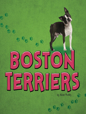 cover image of Boston Terriers